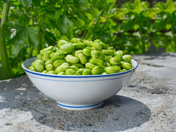 باقالی